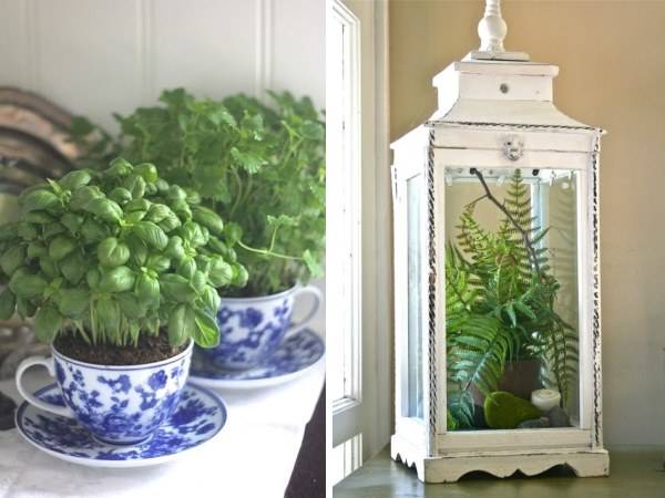 Украшение дома с комнатными растениями