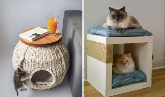 Место для кошки в квартире