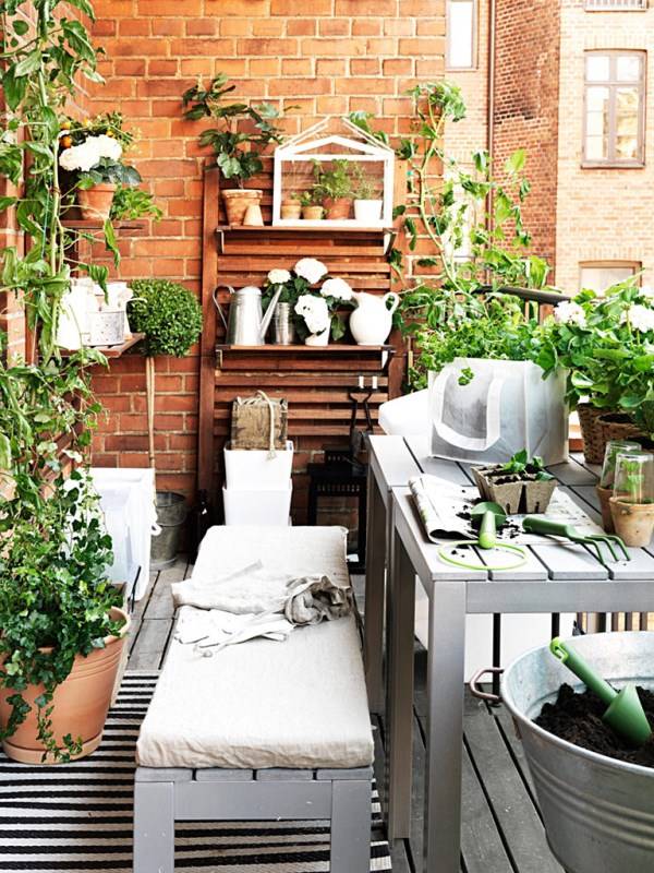 Балкон с комнатными растениями