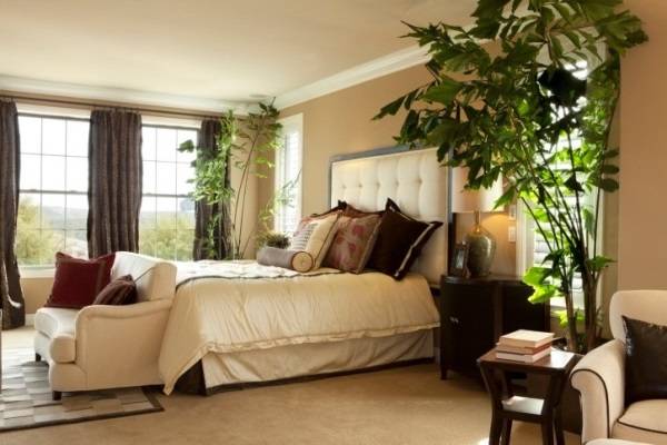 Высокие комнатные растения в спальне
