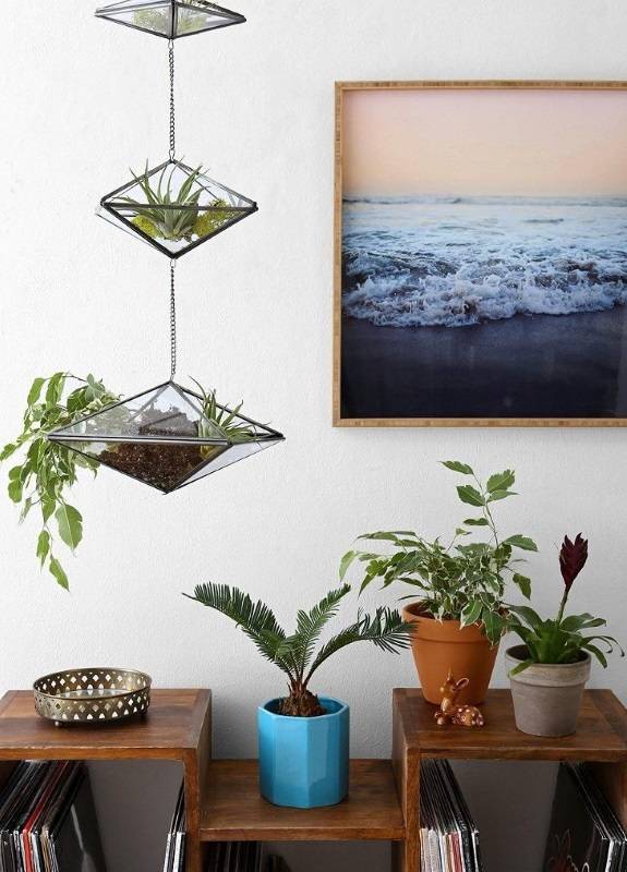 Подвесной декор - стеклянные горшки с растениями