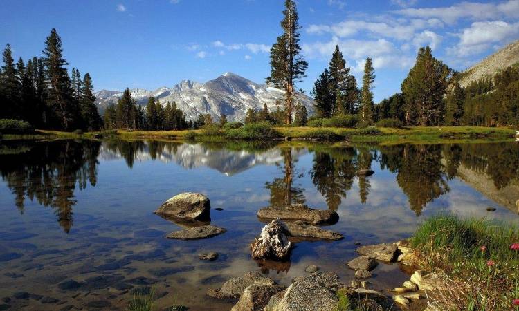 Отдых в национальном парке Йосемити (США)