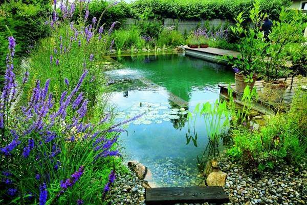 Красивые фото бассейнов - пруд для купания во дворе