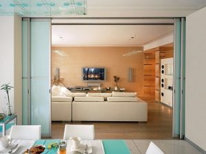 Раздвижные двери на кухню: 28 фото необычных вариантов