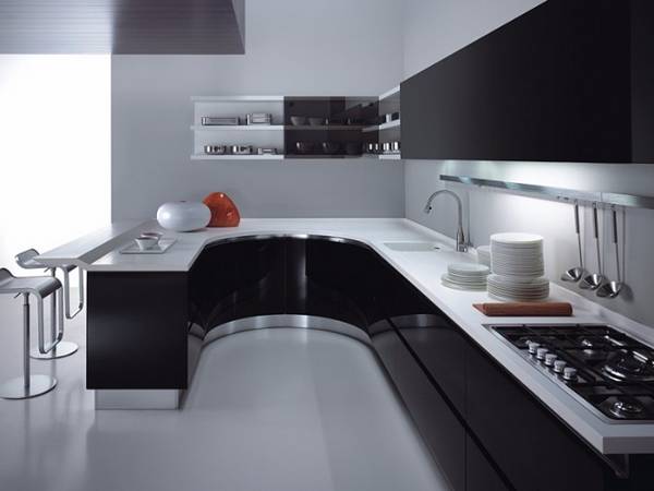Черно-белая кухня: как создать стильный интерьер в черно-белых тонах + 27 фото