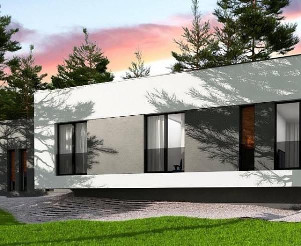 37 fasad 1 etazhnogo doma v stile minimalizm seryj