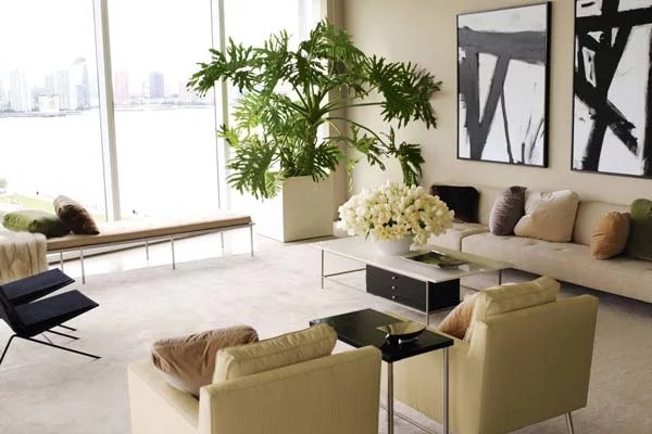 крупные живые растения в интерьере современной гостиной