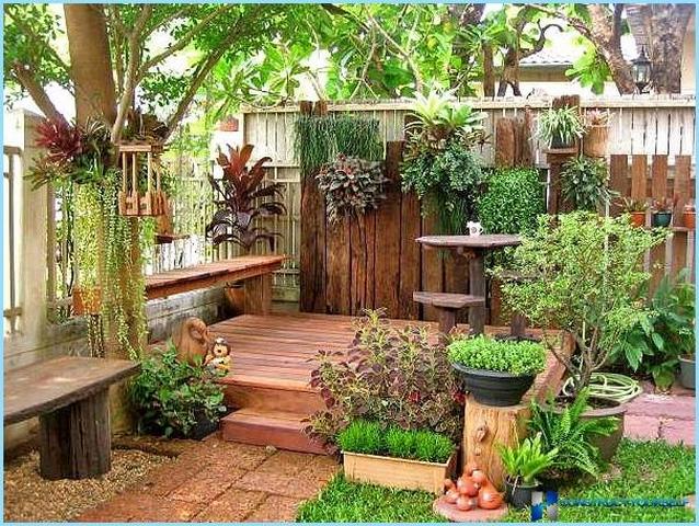 озеленение маленького двора частного дома